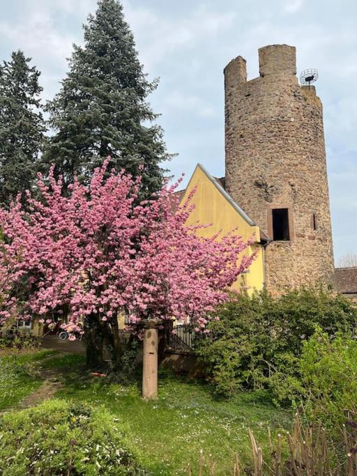La Jolie Maison Bleue, Au Coeur De L'Alsace Кайзерсберг Экстерьер фото