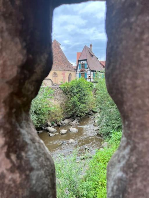 La Jolie Maison Bleue, Au Coeur De L'Alsace Кайзерсберг Экстерьер фото